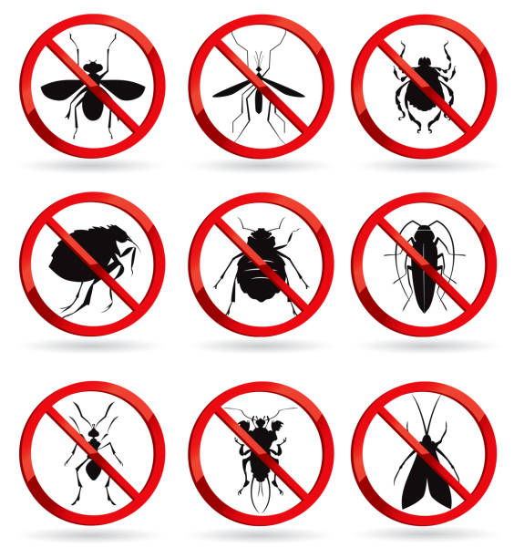 GIỚI THIỆU VỀ DUYÊN TÂM PHÁT