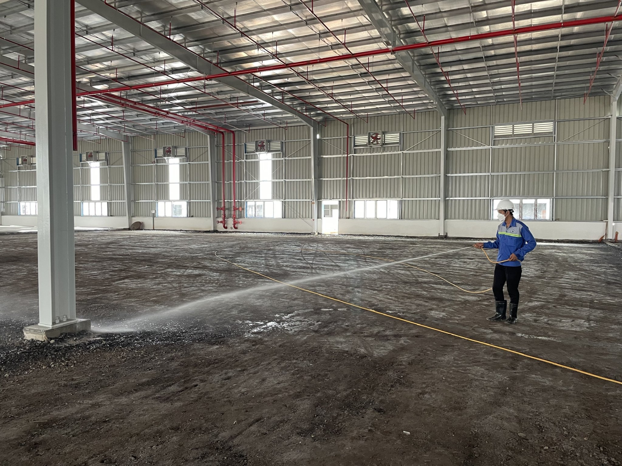 Diệt mối nhà xưởng tại TPHCM
